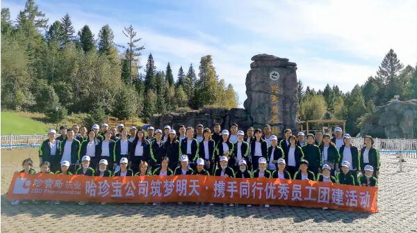 香港图库香港资料库