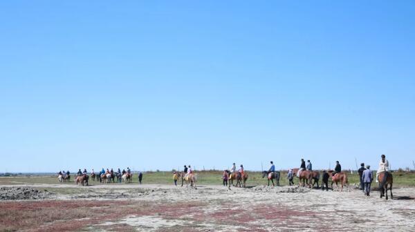香港图库香港资料库