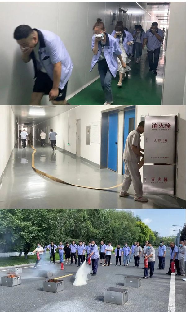 香港图库香港资料库