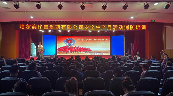 香港图库香港资料库