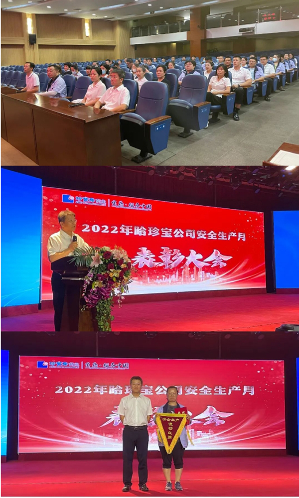 香港图库香港资料库