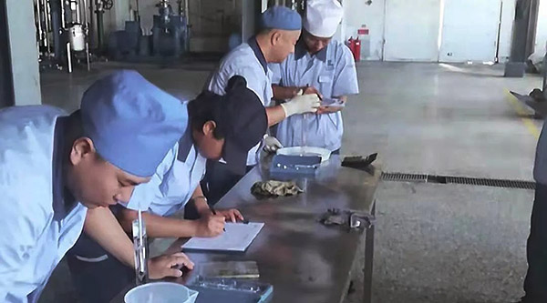 香港图库香港资料库