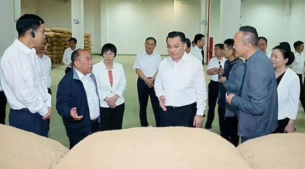 香港图库香港资料库