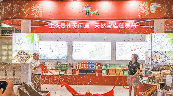 香港图库香港资料库
