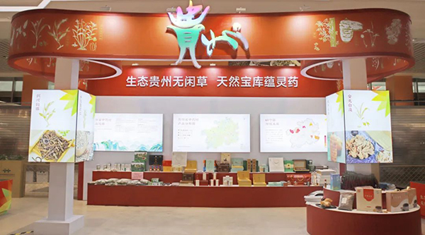 香港图库香港资料库