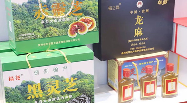 香港图库香港资料库
