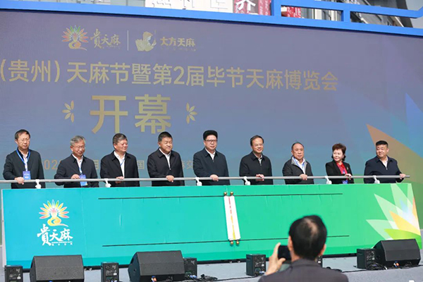 香港图库香港资料库