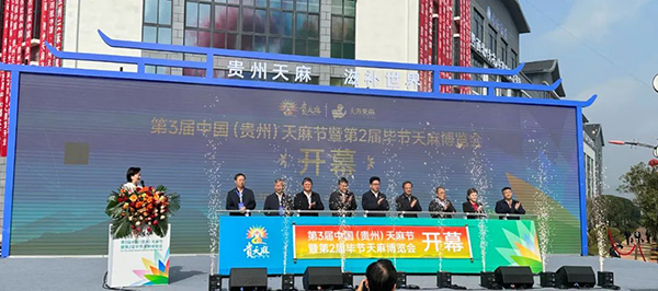 香港图库香港资料库