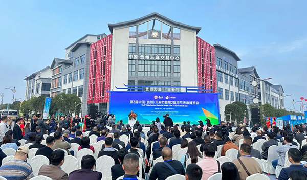 香港图库香港资料库