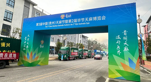 香港图库香港资料库