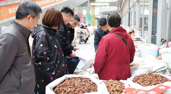 香港图库香港资料库