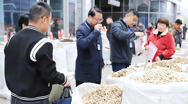 香港图库香港资料库