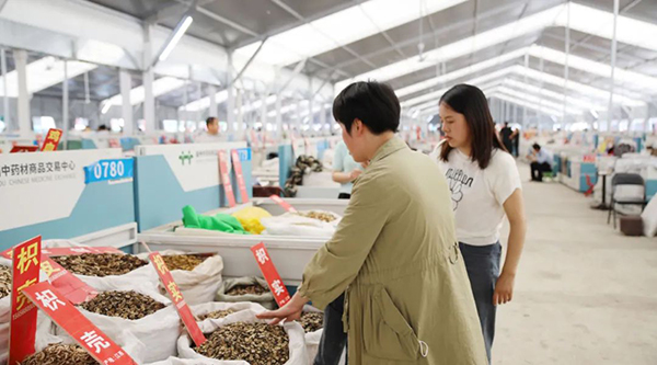 香港图库香港资料库