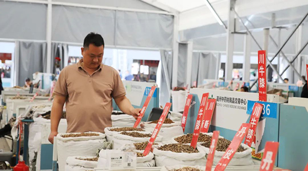 香港图库香港资料库