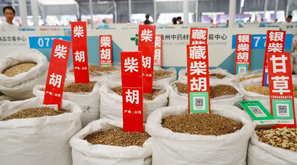 香港图库香港资料库