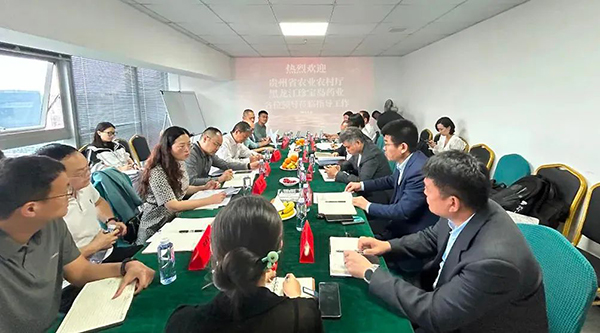 香港图库香港资料库