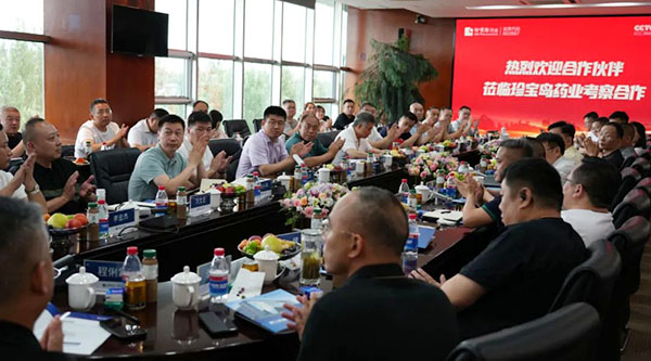 香港图库香港资料库