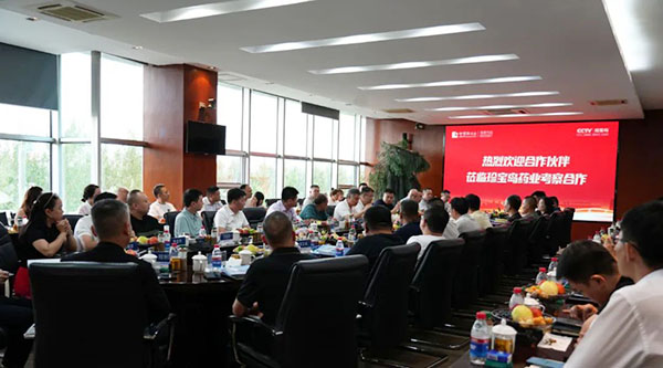 香港图库香港资料库