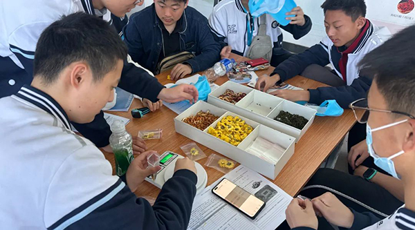 香港图库香港资料库