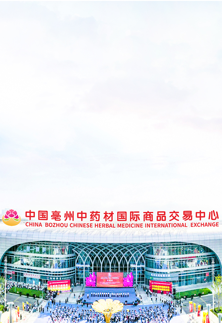 香港图库香港资料库