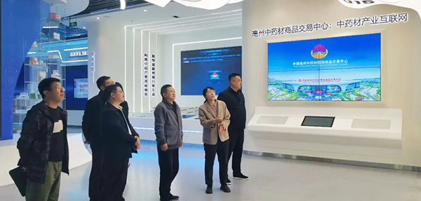 香港图库香港资料库