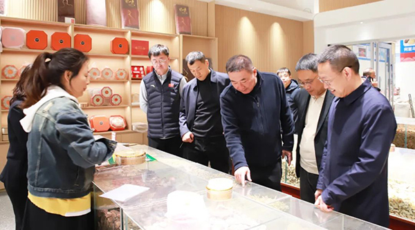 香港图库香港资料库