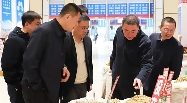 香港图库香港资料库