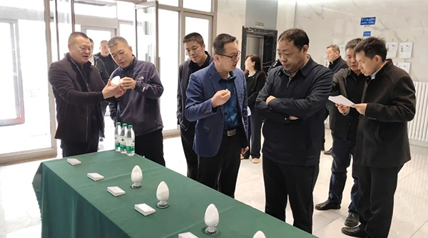 香港图库香港资料库
