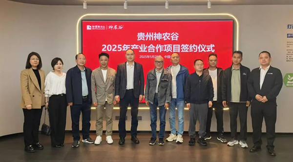 香港图库香港资料库