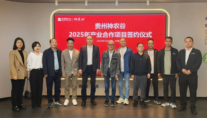 香港图库香港资料库