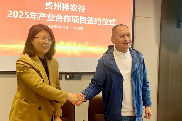 香港图库香港资料库