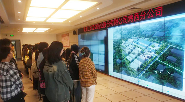 香港图库香港资料库