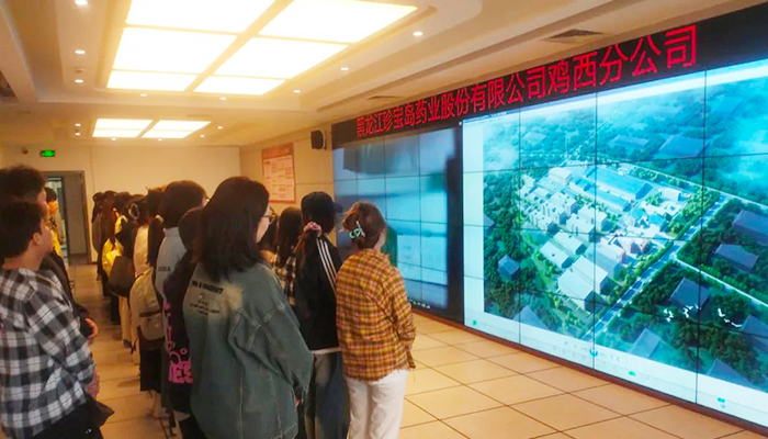 香港图库香港资料库