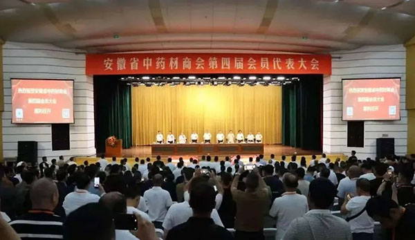 香港图库香港资料库