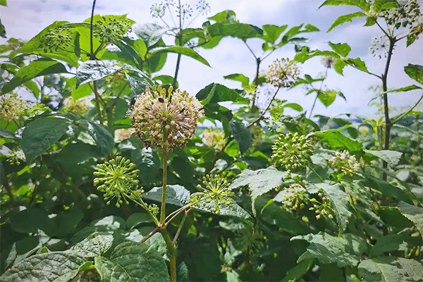 香港图库香港资料库