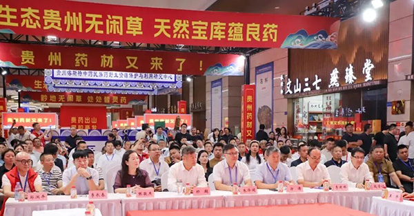 香港图库香港资料库