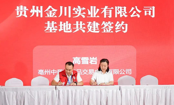 香港图库香港资料库
